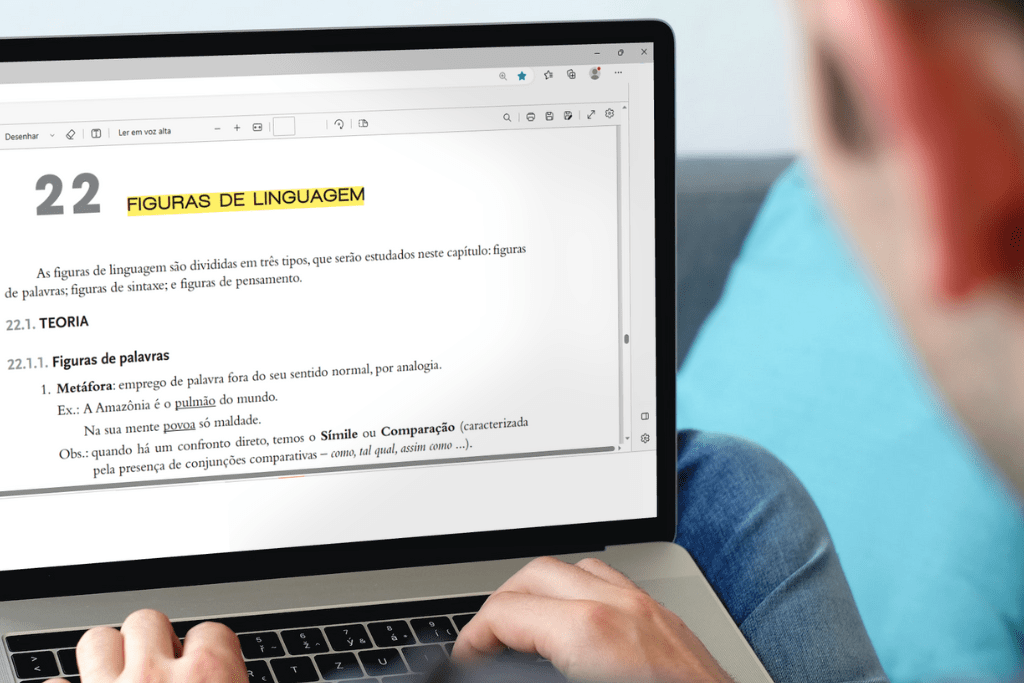 Estudante de concursos públicos olha para a tela do notebook em está escrito 'figuras de linguagem'
